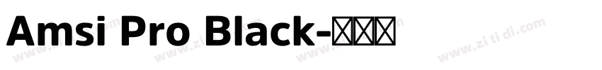 Amsi Pro Black字体转换